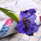 Frendorf | Künstlicher Phoenix Iris Blumenast