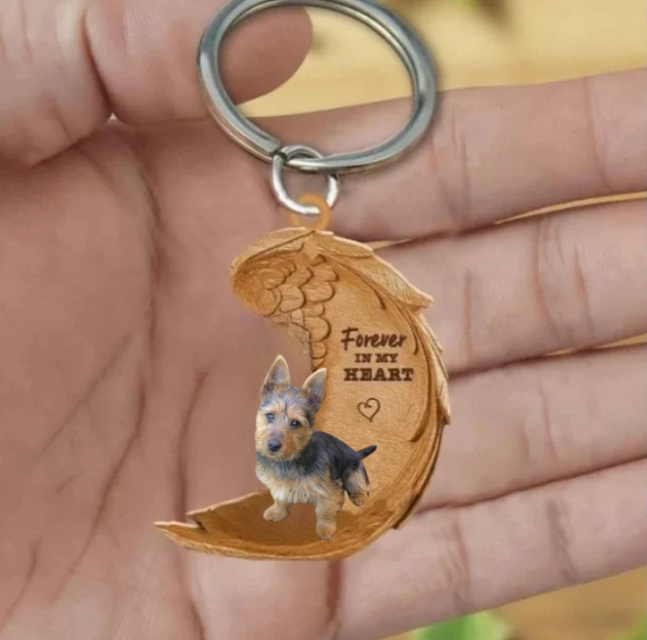 Frendorf | Australian Terrier 3 | Für immer in meinem Herzen