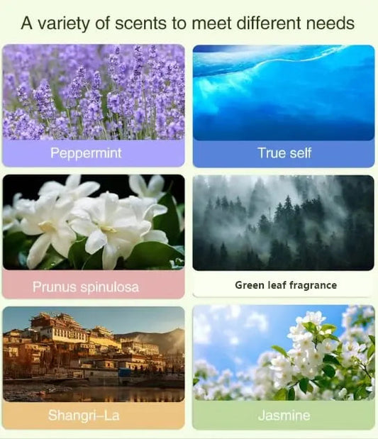 Frendorf | Automatischer Aromatherapie-Diffusor – 5-stufiger Timer mit hochreinem ätherischem Öl