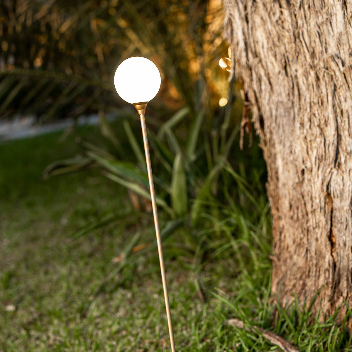 Frendorf | Die Schönheit des Gartens, hervorgehoben durch zartes Licht