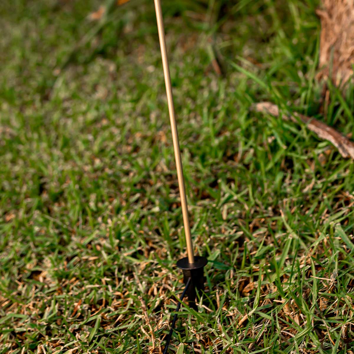 Frendorf | Die Schönheit des Gartens, hervorgehoben durch zartes Licht