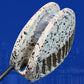 Zeitgenössische kreative Aluminium-Schalenform LED wasserdichter Spotleinwand Wandleuchte für Flur