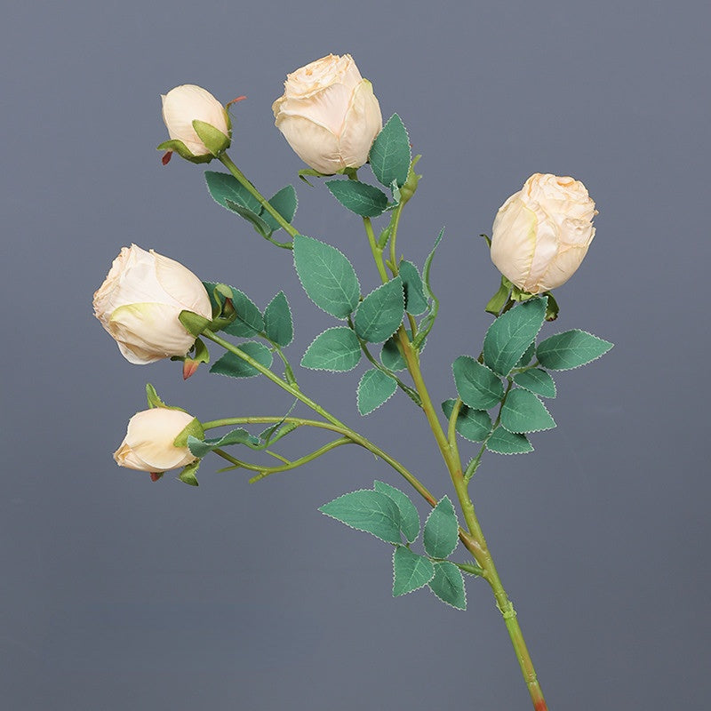 Frendorf | 5 Kopf Rose Seidenblume