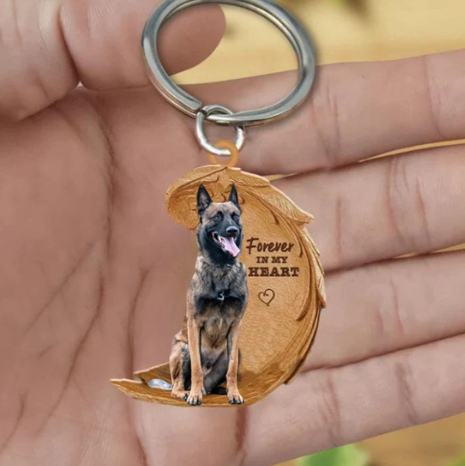 Frendorf | Belgischer Schäferhund | Für immer in meinem Herzen