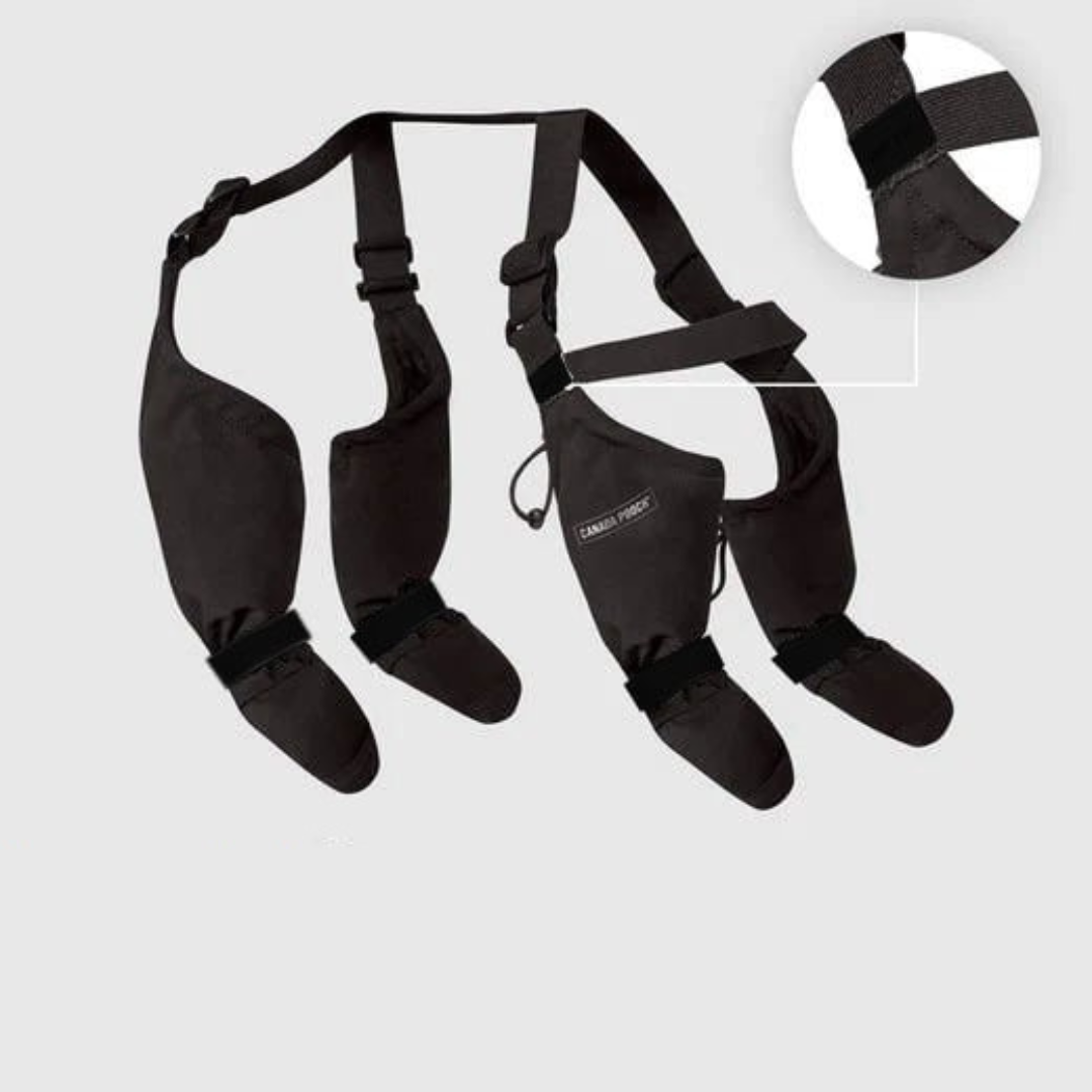 Frendorf | Bescherm de Poten van Je Hond: Ontdek Hondenschoenen Die Werken!