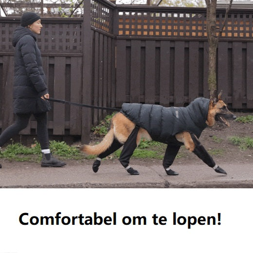 Frendorf | Bescherm de Poten van Je Hond: Ontdek Hondenschoenen Die Werken!