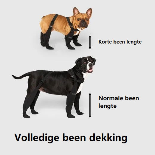 Frendorf | Bescherm de Poten van Je Hond: Ontdek Hondenschoenen Die Werken!