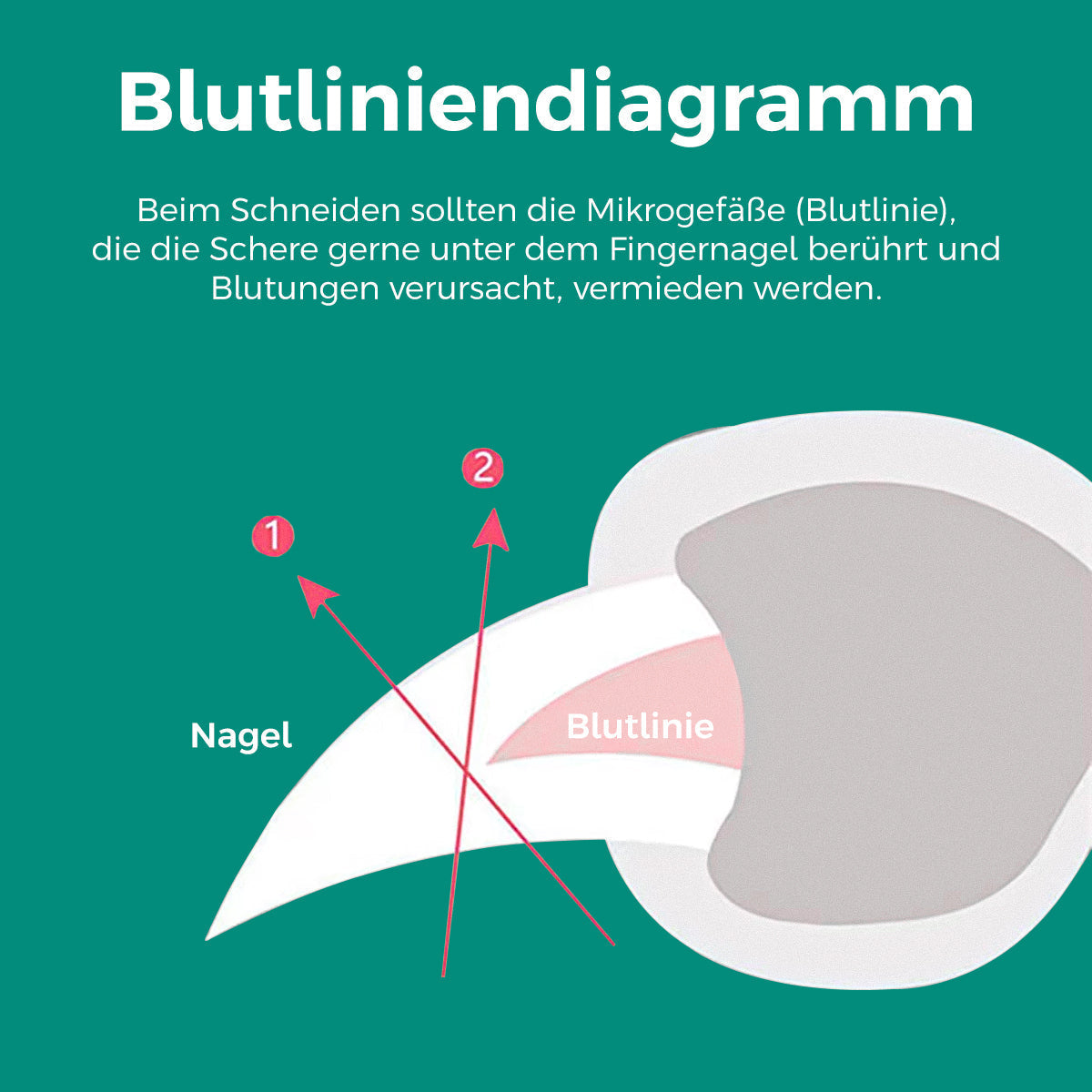 Frendorf | Beste hondennagelknipper met snelle sensoren