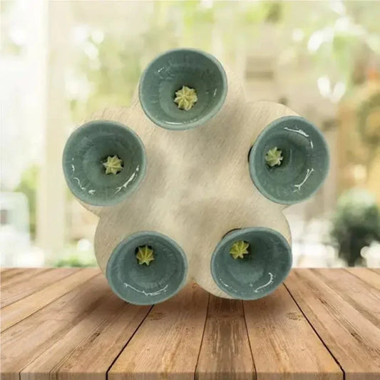 Frendorf | BeeHydro – Bienenfreundliche Wasserquelle für ein blühendes Ökosystem