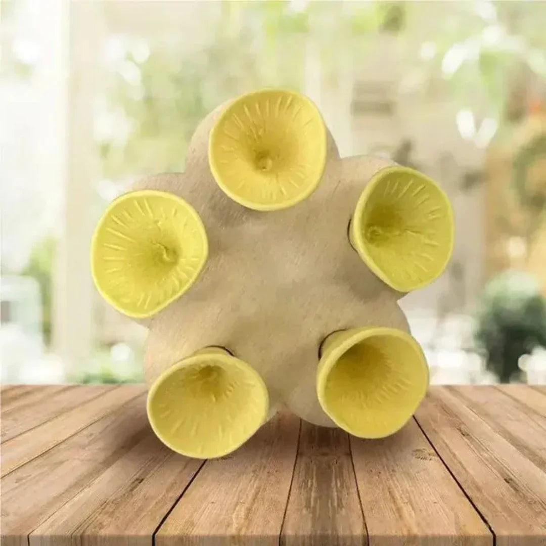 Frendorf | BeeHydro – Bienenfreundliche Wasserquelle für ein blühendes Ökosystem