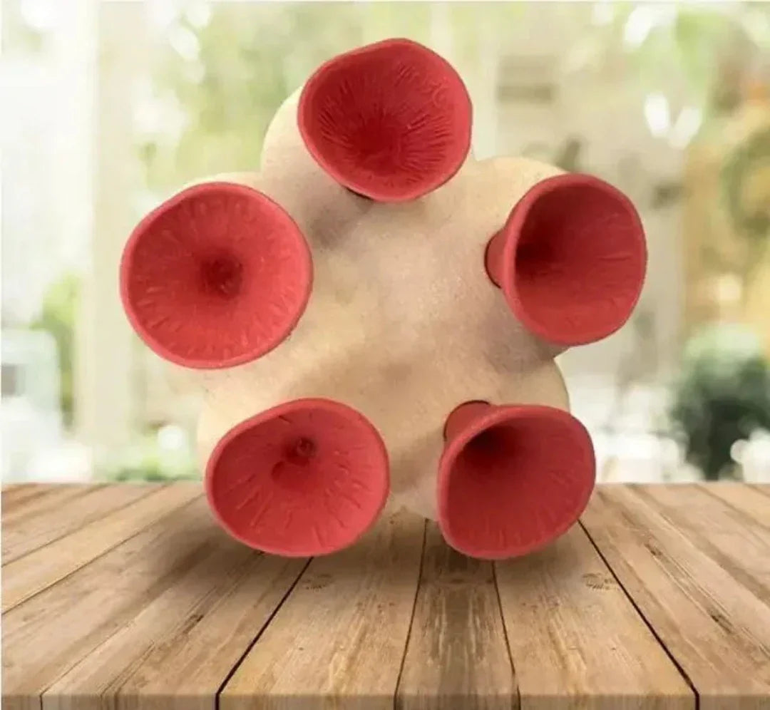 Frendorf | BeeHydro – Bienenfreundliche Wasserquelle für ein blühendes Ökosystem