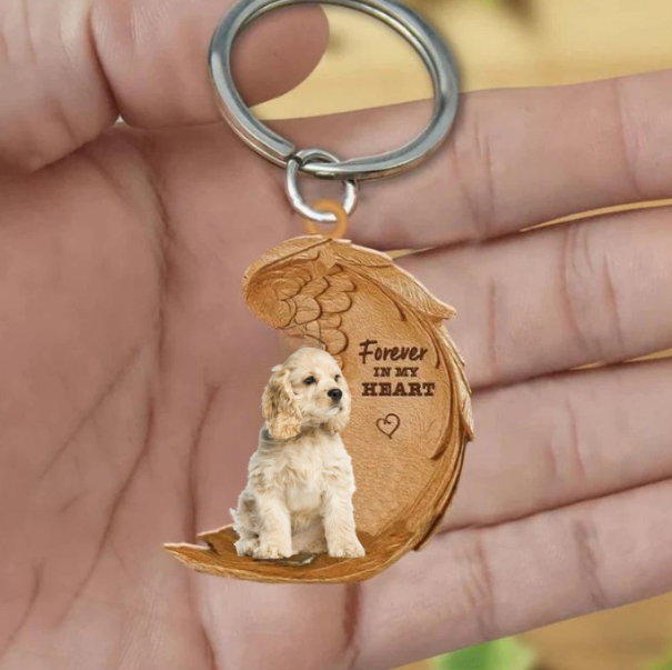 Frendorf | Blonde American Cocker | Für immer in meinem Herzen