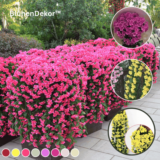 Frendorf | BlühenDekor Langanhaltende Schönheit