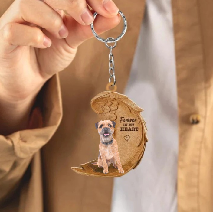 Frendorf | Border Terrier 4 | Für immer in meinem Herzen