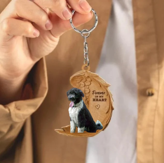 Frendorf | Bordoodle 2 | Für immer in meinem Herzen