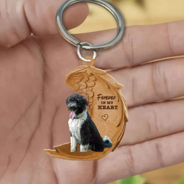 Frendorf | Bordoodle 2 | Für immer in meinem Herzen