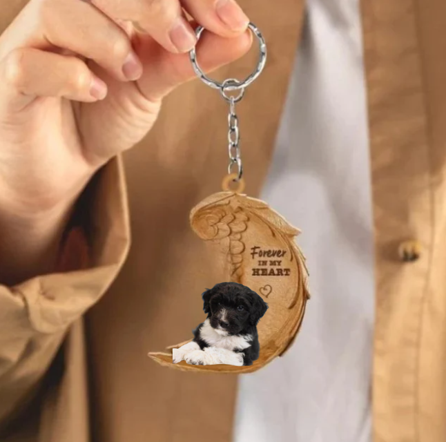 Frendorf | Bordoodle | Für immer in meinem Herzen