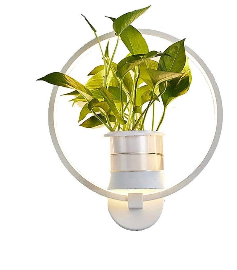 Frendorf | Botanische Wandlampe - wandlampe mit pflanze für stilvolle beleuchtung