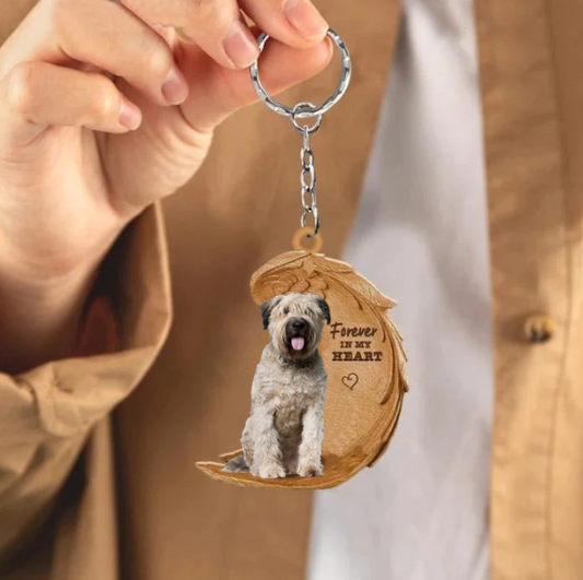 Frendorf | Bouvier des Flandres 2 | Für immer in meinem Herzen