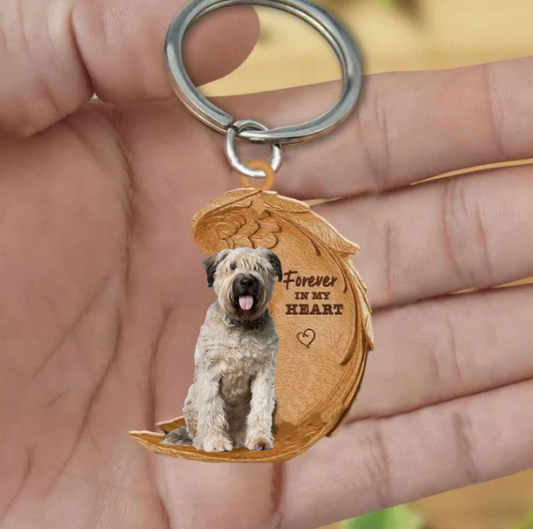 Frendorf | Bouvier des Flandres 2 | Für immer in meinem Herzen