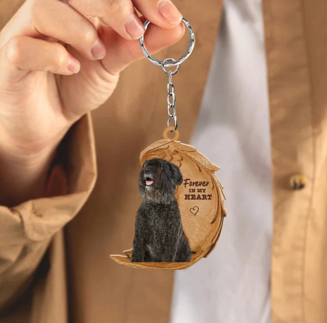 Frendorf | Bouvier des Flandres 3 | Für immer in meinem Herzen