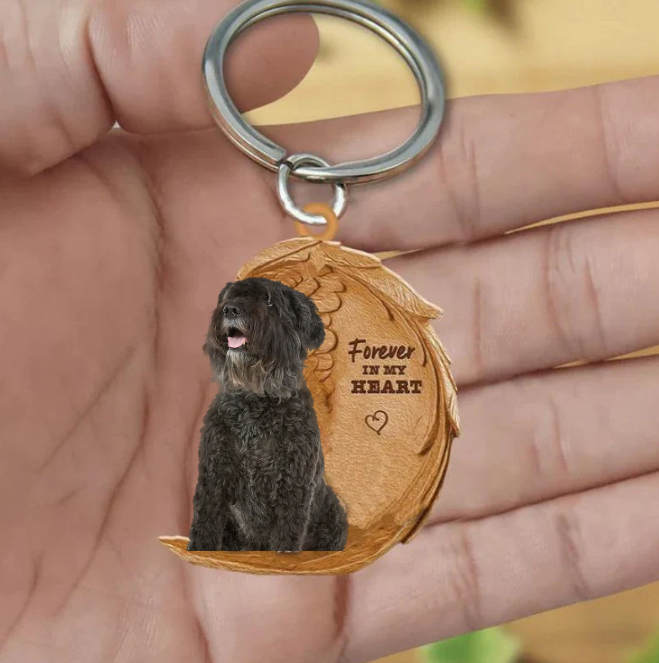 Frendorf | Bouvier des Flandres 3 | Für immer in meinem Herzen