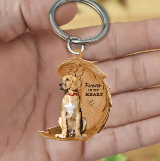 Frendorf | Broholmer | Für immer in meinem Herzen