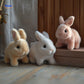 Frendorf | Plush | Realistisch, Weich, Perfekt Für Kinder & Sammler!