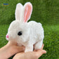Frendorf | Plush | Realistisch, Weich, Perfekt Für Kinder & Sammler!