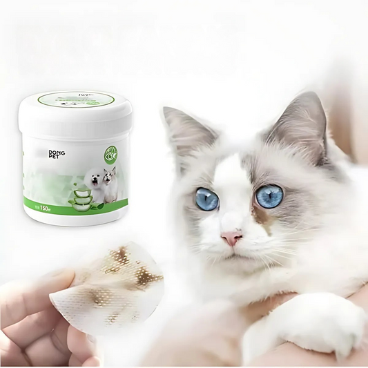 Frendorf | AugeLeichtigkeit Entfernt sanft Flecken