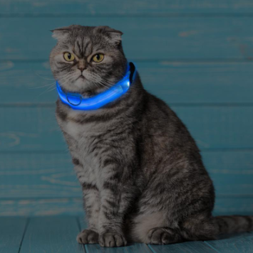 Frendorf | Leuchthalsband für Hunde - Blinkendes Hundehalsband