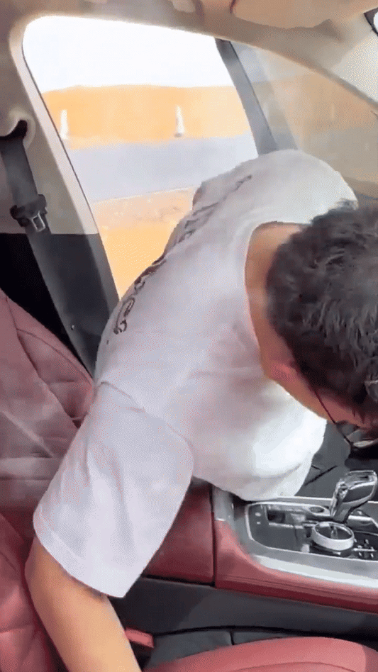 Frendorf | Auto-Sonnenschutz Windschutzscheibe