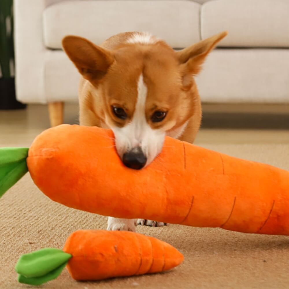 Karotten Quietsch Plüschtier Hund Interaktives Spielzeug