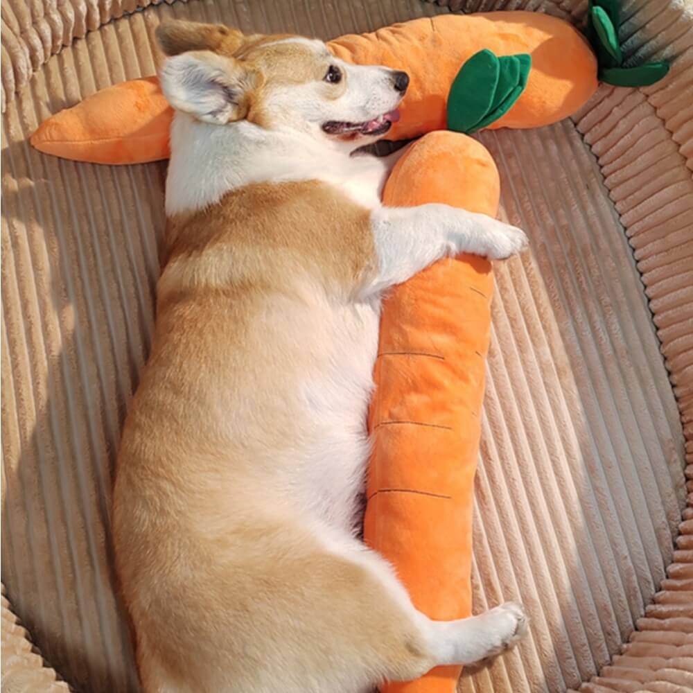 Frendorf | SqueakyBite Karotten Quietschspielzeug für Hunde | Interaktives Plüschtier | Robustes Hundespielzeug