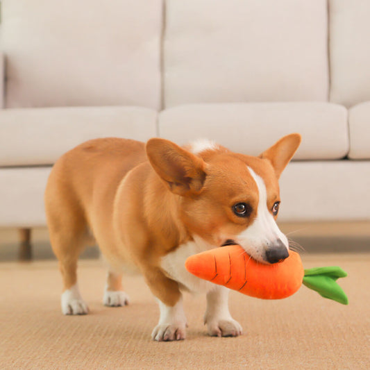 Karotten Quietsch Plüschtier Hund Interaktives Spielzeug