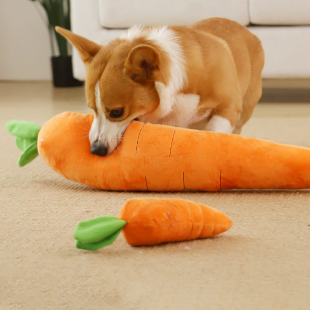 Karotten Quietsch Plüschtier Hund Interaktives Spielzeug