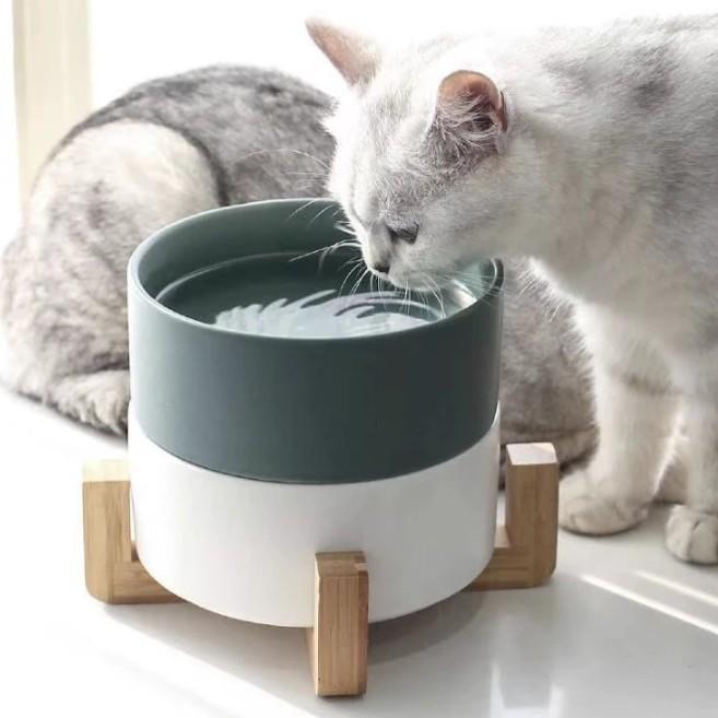 Frendorf | MeowFeast Ceramic Futternäpfe | Rutschfest | Hochwertig | Für Hunde & Katzen | Modernes Design