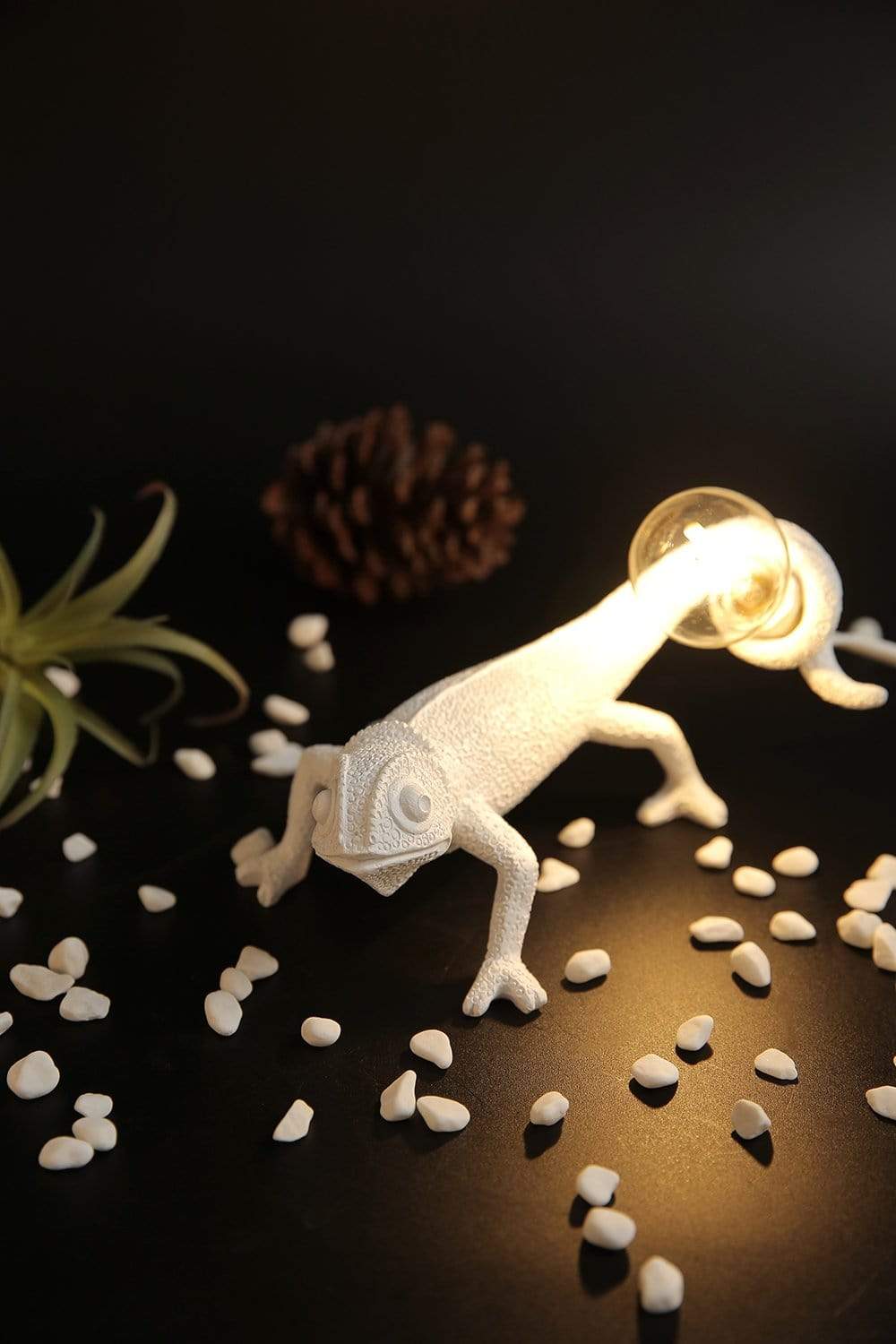 Chameleon Wandleuchte