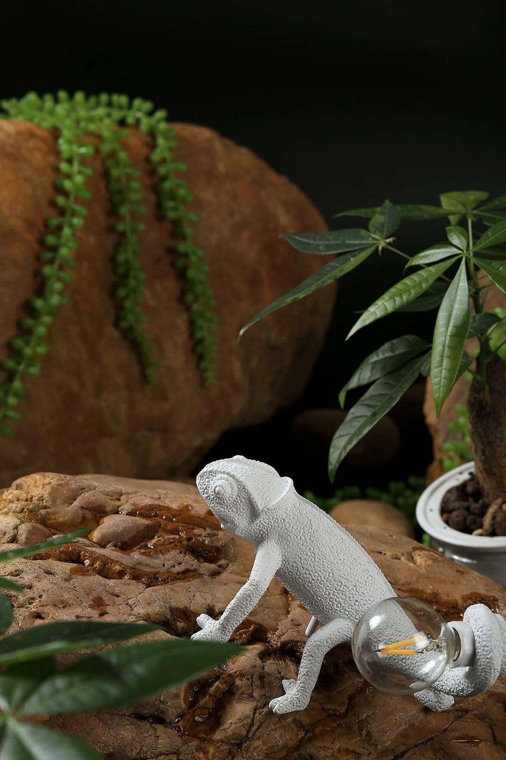 Chameleon Wandleuchte