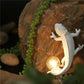 Chameleon Wandleuchte