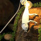 Chameleon Wandleuchte