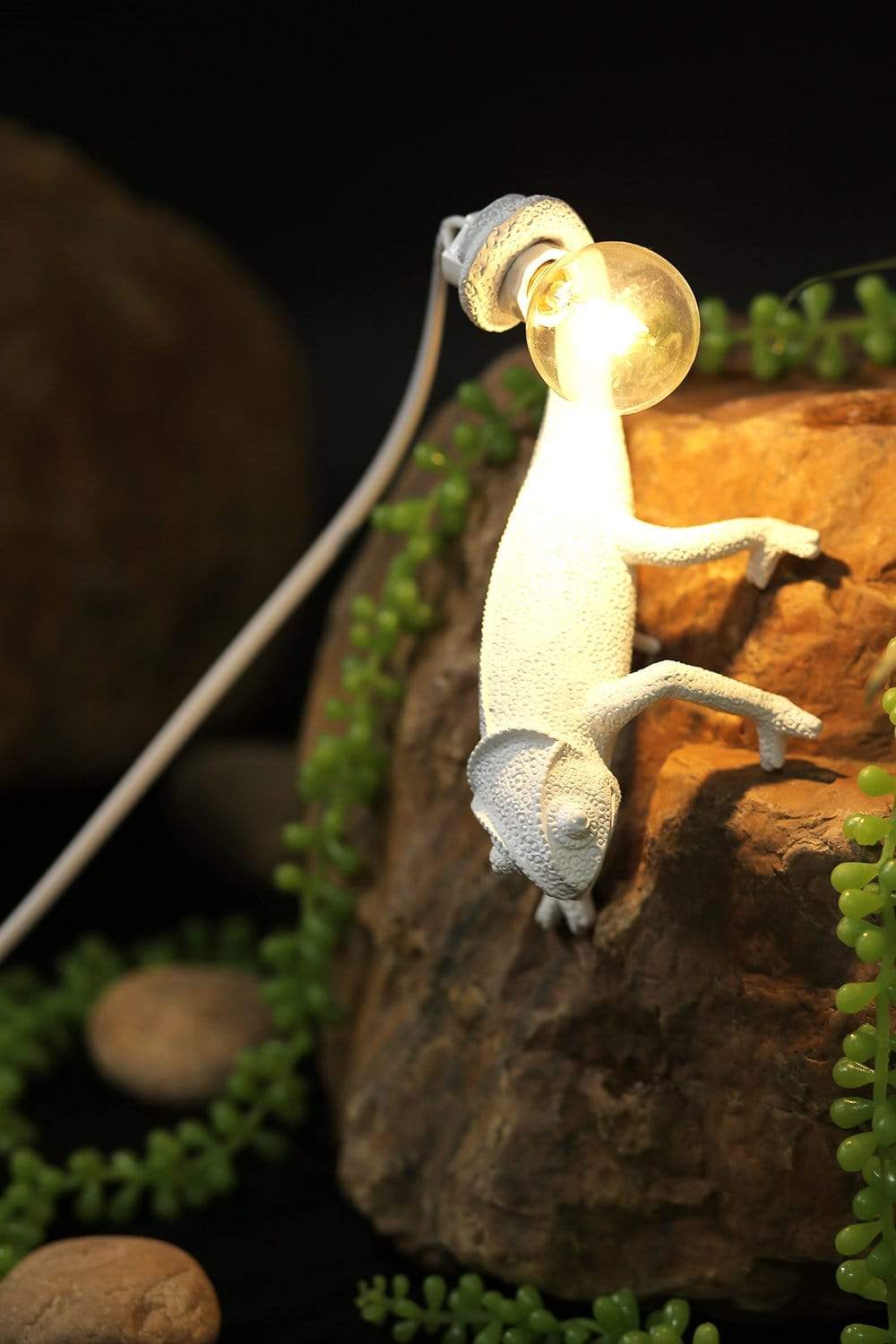 Chameleon Wandleuchte