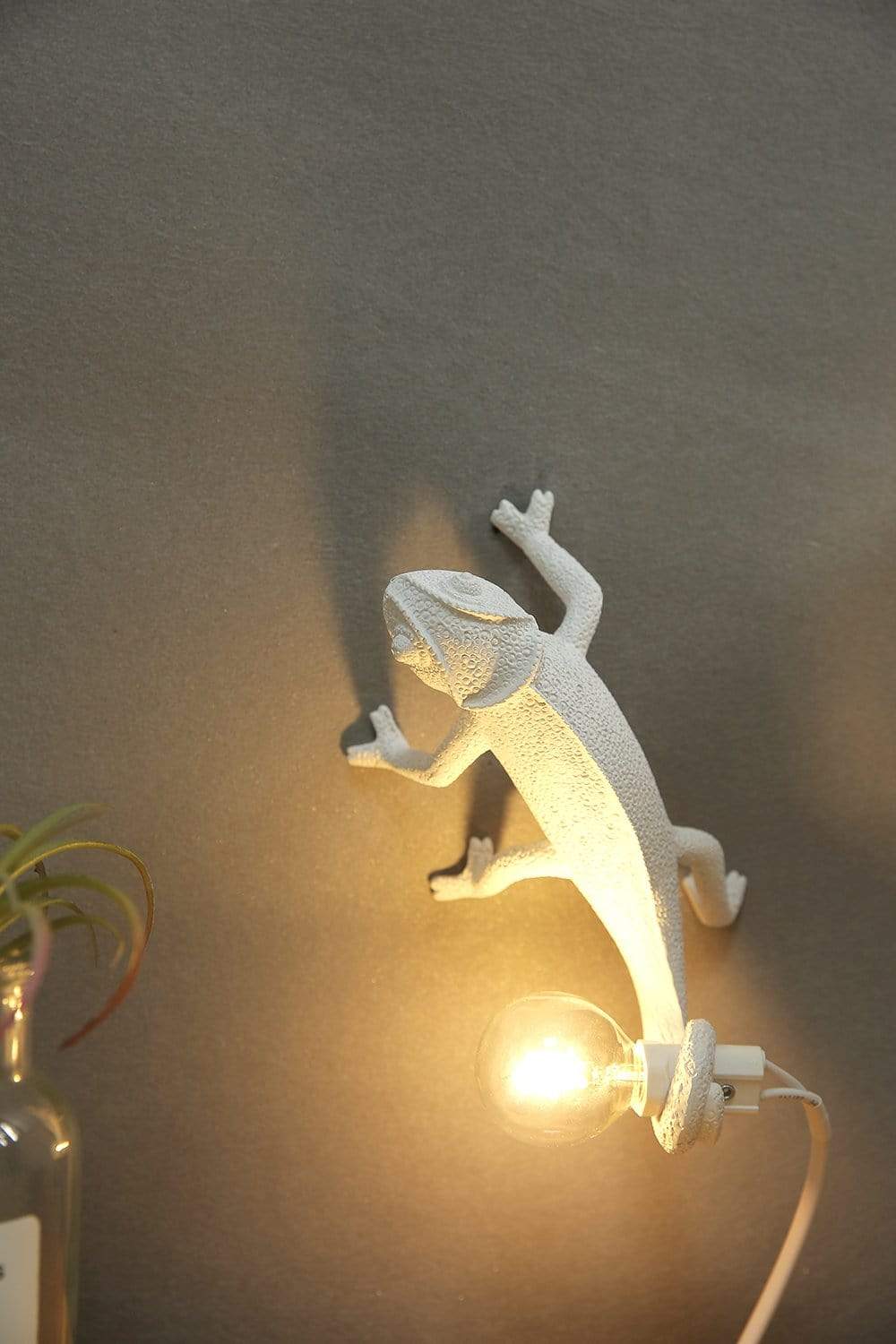 Chameleon Wandleuchte