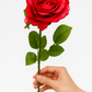 Frendorf | Elegance Rose Stem Schönheit 68 cm - Realistische künstliche Rose mit lebensechten Blütenblättern - Perfekt für Blumenarrangements, Sträuße, Kränze und Wohnkultur - Langlebig und pflegeleicht