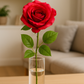Frendorf | Elegance Rose Stem Schönheit 68 cm - Realistische künstliche Rose mit lebensechten Blütenblättern - Perfekt für Blumenarrangements, Sträuße, Kränze und Wohnkultur - Langlebig und pflegeleicht