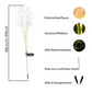 Frendorf | SolaraGlow Fiber Reed Solar Außenleuchte | Solar Gartenlampe | Wetterfest | Dekorativ & Energiesparend