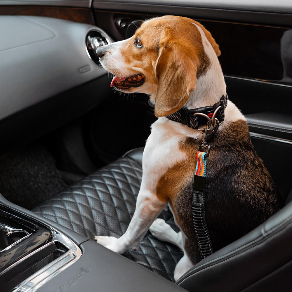 Bunte Puffer Verstellbare Coole Hunde Zubehör Autosicherheitsgurt