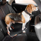 Bunte Puffer Verstellbare Coole Hunde Zubehör Autosicherheitsgurt
