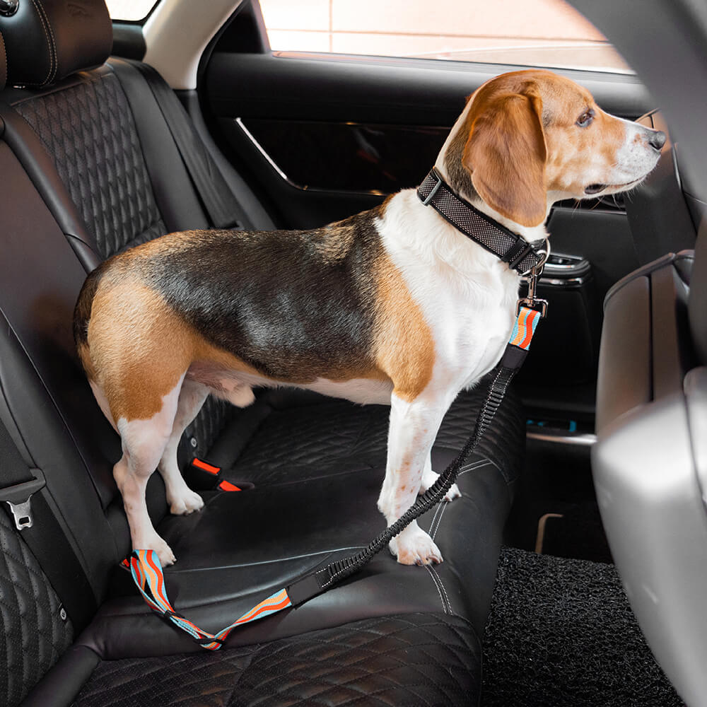 Bunte Puffer Verstellbare Coole Hunde Zubehör Autosicherheitsgurt