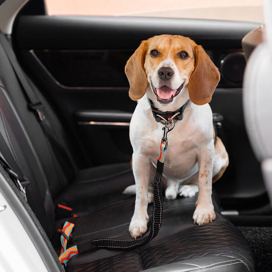Bunte Puffer Verstellbare Coole Hunde Zubehör Autosicherheitsgurt